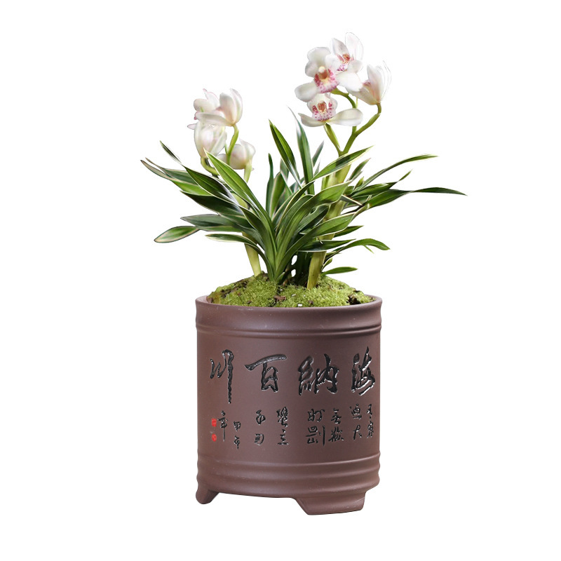 Purple sand orchid flower pot vintage stoneware breathable personalized creative indoor home desktop succulent bamboo phalaenopsis pot