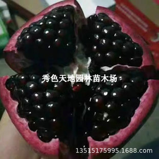 ��Ʒ�N��ɫ�к�ܛ��ʯ������ش����ʯ�����ͥԺ���Ե����Ϸ���