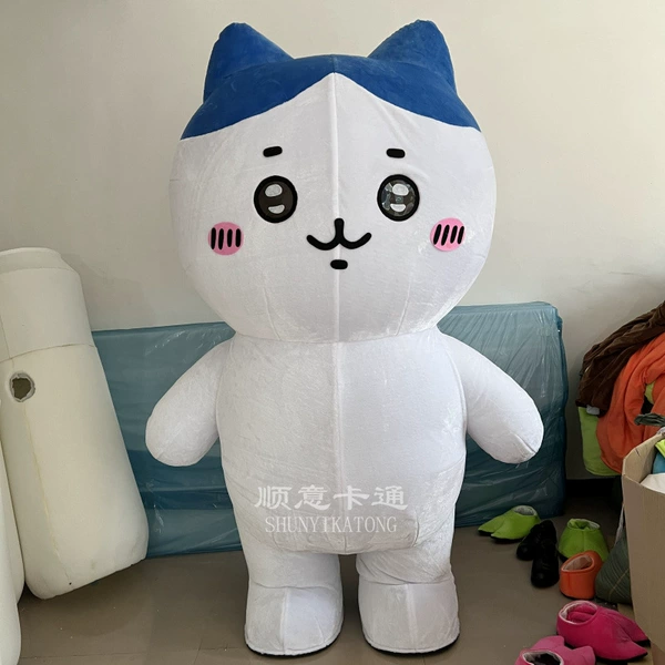 Cat Hachi
