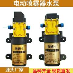 電動噴霧器ウォーターポンプマイクロ電動ダイヤフラムポンプ電動噴霧器大流量 12V ウォーターポンプ洗車機ポンプ