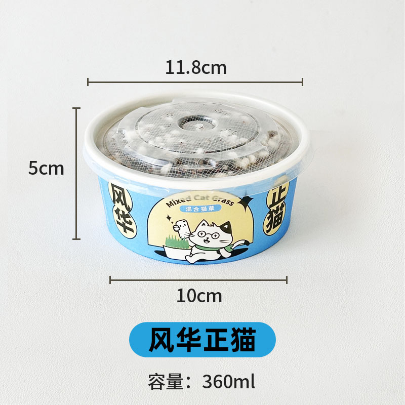 Planta en maceta de hierba para gatos, planta perezosa, taza de hierba para gatos, semillas de hierba para gatos, pelos de menta para gatos, bocadillos de hierba para gatos, fideos instantáneos