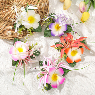 �羳���Q�����İl�A�Ꭷ��Ůʿ��l�������ׁ��l�Y�b����l