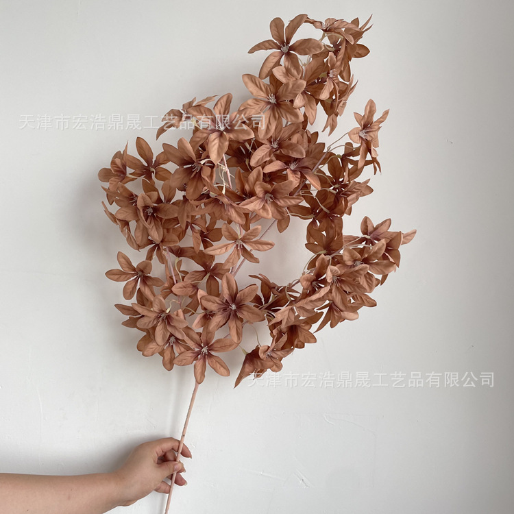 微信图片_202208191624366_副本