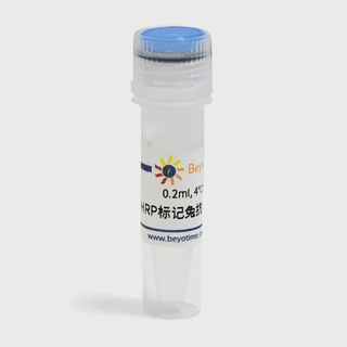 A0356 HRP辣根过氧化物酶标记山羊抗大鼠IgG(H+L) 0.2ml