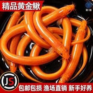 �S�����q��ˮ������~�׳����坍�����~�¾��ֻ��~�^�p�~С���~��