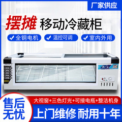 冷蔵展示棚業務用移動可能小型冷蔵庫冷凍庫三輪車屋台冷凍庫軽食串台式