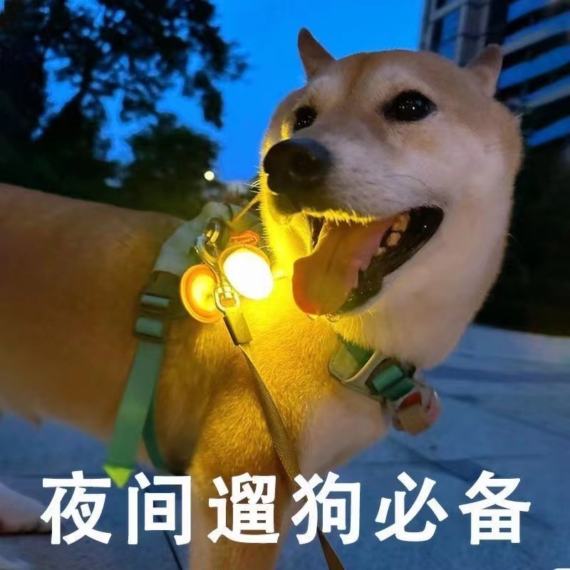 狗狗夜间出行防走失遛狗专用发光吊坠闪光挂坠宠物配饰吊牌夜光灯|undefined