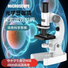 ͯW@΢RСW̿ƕͬƌW߶YƷ