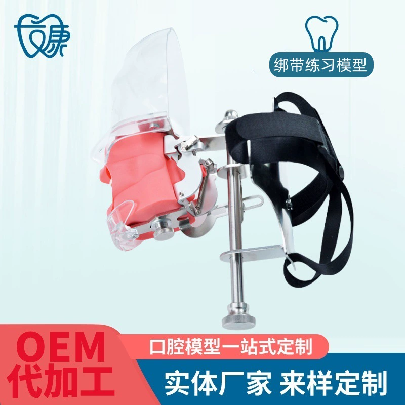 Стоматологическая имитация зубных головных форм из смолы зубных зубов Разборные имитационные головные формы для зубных головных форм