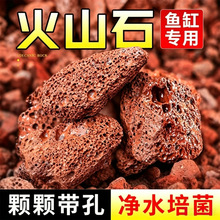 火山石兰花专用园林造景鱼缸滤水底砂园艺铺面拌土红色黑色火山岩