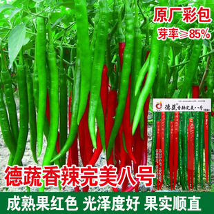 ���L���������N�ӷN�紺�＾�߮a����N���̨���������N�߲˷N��