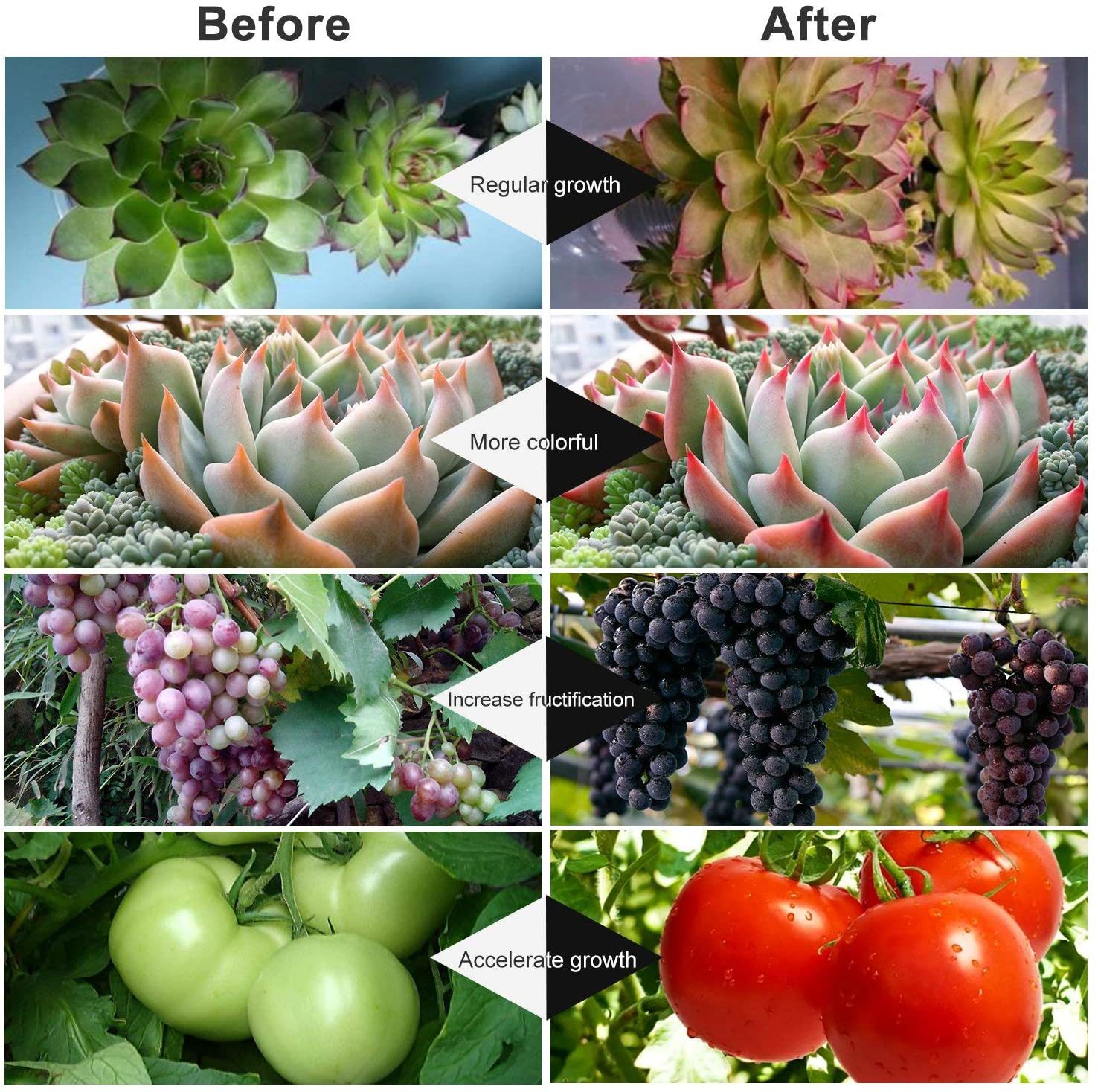 8129irNU8iL._AC_SL1500_