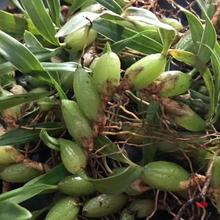 �F�lʯ�ϙ����r�V��ʯ�ϙ��p�~ʯ���ҟ����aƷ��С̖����ʯ�ϙ�