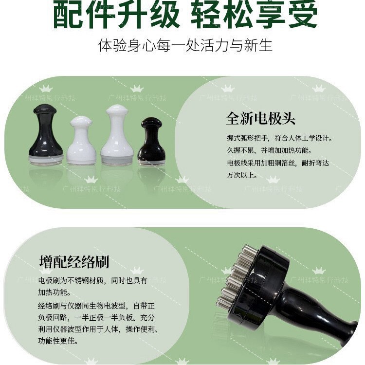Yuanqi Plant Meridian Beauty Salon 同じスタイルの経絡浚渫生物マイクロ電気パルス器具エバーグリーン中国美容マッサージ器具|undefined