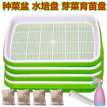 ����P�̨�N����ˮ������Nֲ�PС����ѿ������I�B�����ܱP