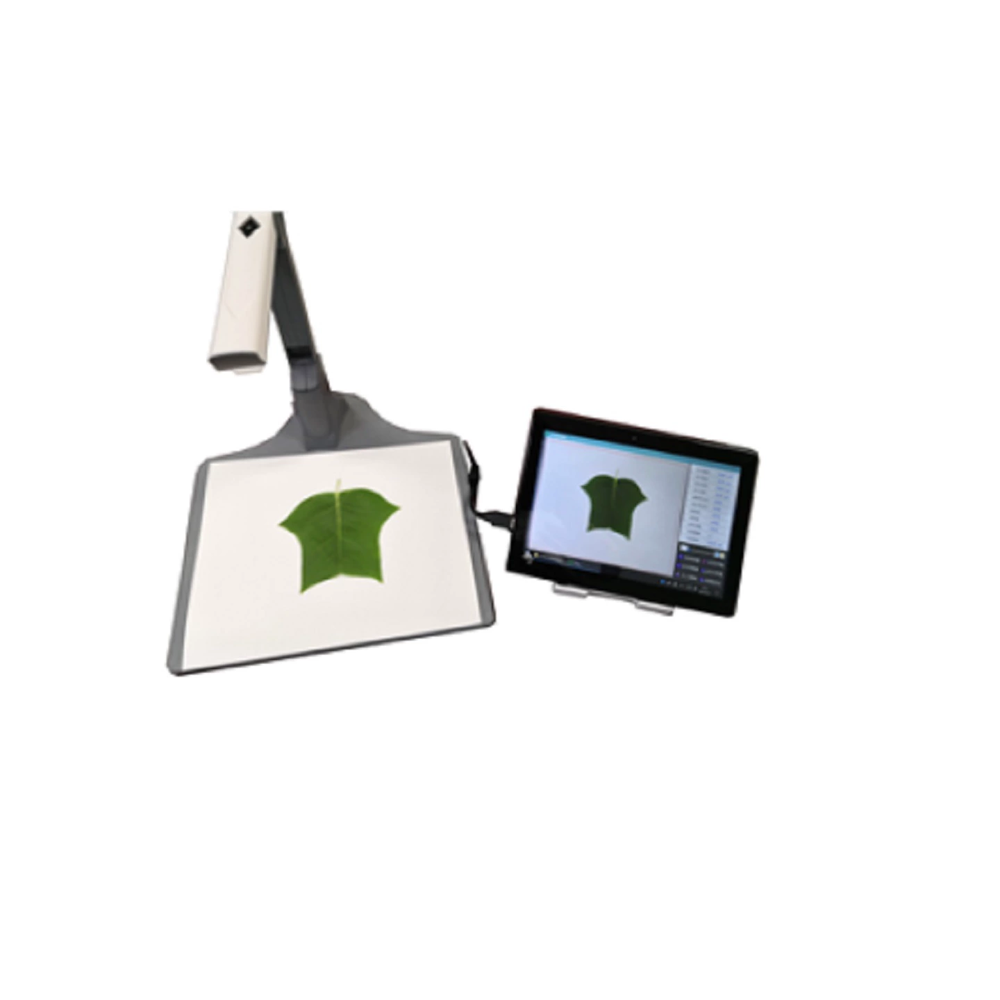 Для прибора для измерения площади листьев фототипа Модель: RR12-LAM-E Номер библиотеки: M409959