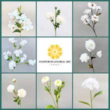 �ٻ���c���Ż�õ��¶ɏ�ٻ�����Ʒ��ˇ���滨�¿�ٻ����ɴ��l