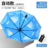 Baiyun (automatic model-sunscreen/anti-storm/inner flower model)