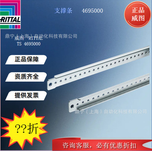 Rittal Support Strip TS4695000 Control Cabinet Cabinet Accessories Accessories TS Mounting Strip