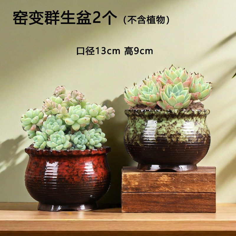 Maceta de suculentas de Qunsheng, balcón de arcilla de gran diámetro, planta de carne doméstica, venta directa de fábrica especial de cerámica al por mayor