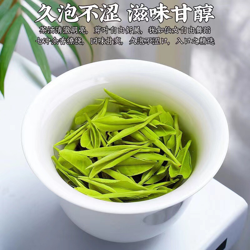 【2斤】本場白茶高山安吉2023新茶1000g明前毛先緑茶若芽濃|undefined