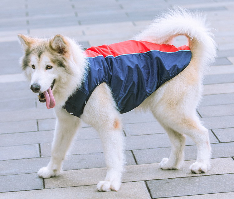 Liquidación pequeño mediano grande perro golden retriever samo impermeable ropa de algodón acolchado ropa para mascotas otoño e invierno engrosada gato cálido