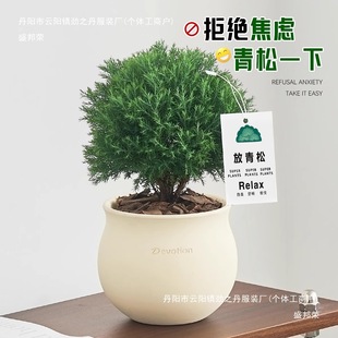�������Fڡ���Կ͏d�k��������GֲС�辰�ļ�������B����w����
