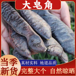 ��������ș�����v���Ƕδ�Ȱ��~���מ�ϴ�^ϴ�l�Ϙ��L���ǂ���؛