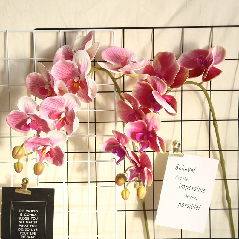 蝴蝶蘭仿真花植物盆景婚慶裝飾INS風仿真植物牆批發玫瑰花MW18904