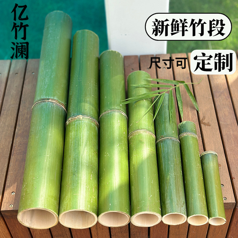新鲜竹筒插花瓶摆件绿色竹管小竹子花艺竹节环创婚庆摆件竹筒花器