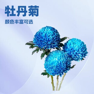 ĵ�����r����ϻ���ֱ�l���Ļ������l�F�ɬF�l�ɫ�Rȫ��һ�����l