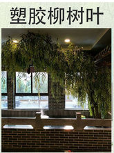 �����~��֦����֦�l�����~�Gɫ�~���Ƙ����~�z�����ߘ��~