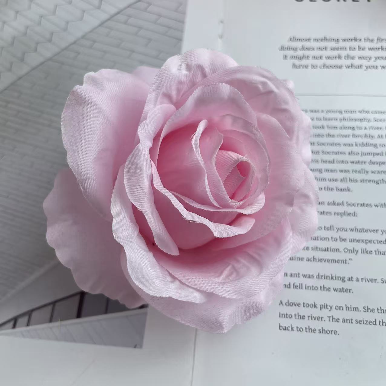 Anna gran rosa cabeza de fábrica al por mayor flowerhead flower corona flower pared flower arrangement artesanía DIY