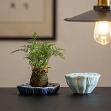 ��Ϫ����ʽ�մɉسЄ�����ָ��㙴���[���бP����Gֲ�[�űP����