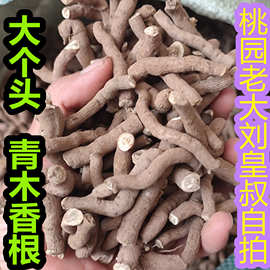 青木香500克别名 独行根青藤香蛇参根马兜铃根青木香实物真货好货
