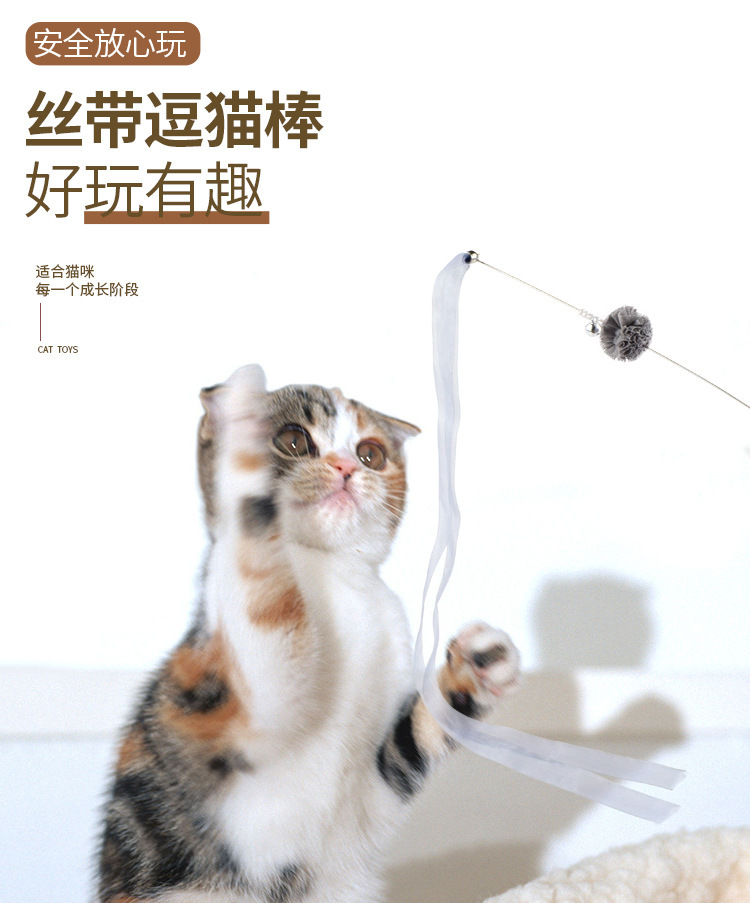 丝带仙女5.jpg