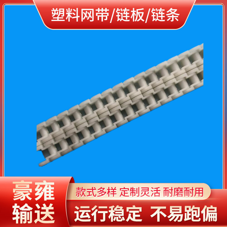 40双排塑料链条_塑胶链条_PP链条_PP塑料链条_耐酸碱耐腐蚀