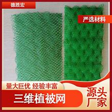 ���]ֲ���W �o�¾G�����Sֲ���W ���S�W�S�� ���Sֲ���W���a�S��