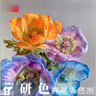 �r��Ⱦɫ���F����{�r��Ⱦɫ����Ⱦ��ɫ�[���n�������Ứ��ɫ