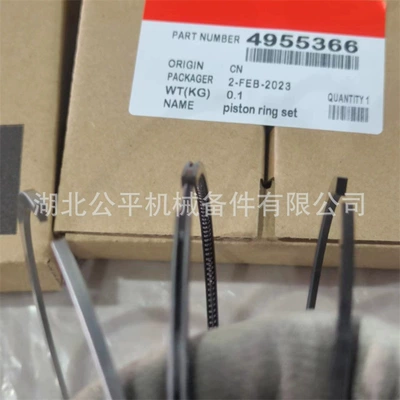 Piston, piston ring, piston pin in stock wholesale
