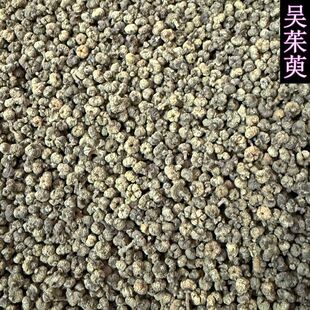 ���l������ ���ǅ�������Ә� ������ ���NҎ��