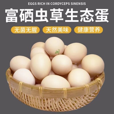 Se To students egg Cordyceps Low Cholesterol Early adopters 10 Red heart egg