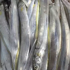 其他水产加工;水产干货类;鱼类