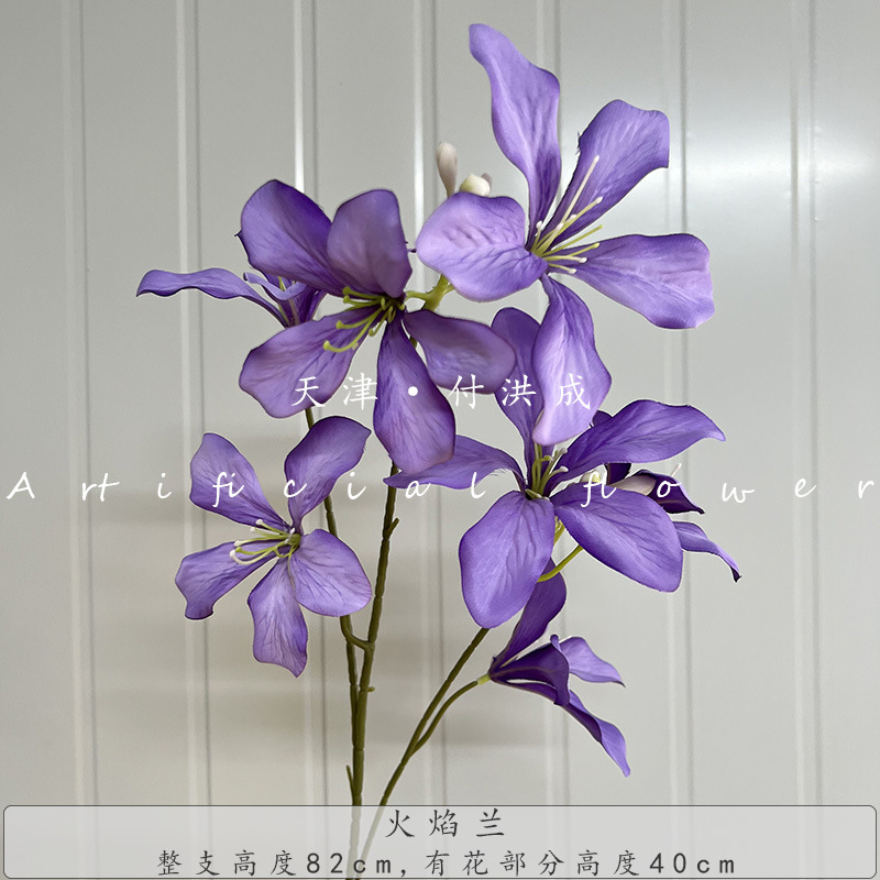 불타는 블루-다크 퍼플