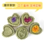 磨牙提摩西草兔子草饼