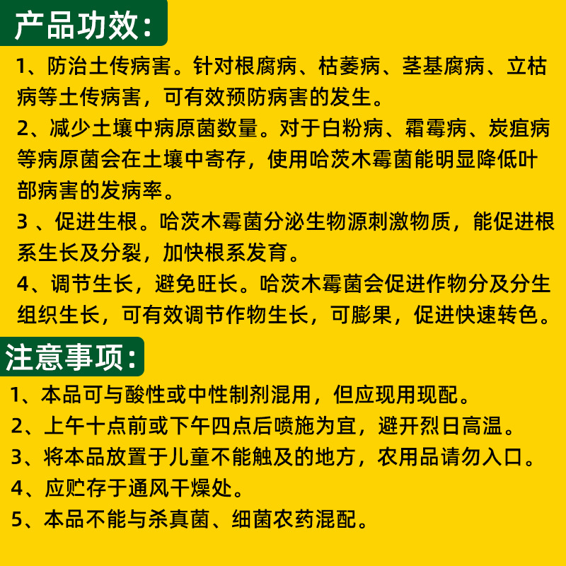 微信图片_20250210195525