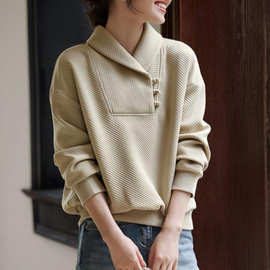 气质翻领宽松套头长袖卫衣女2024冬季新款肌理感休闲百搭亲肤上衣