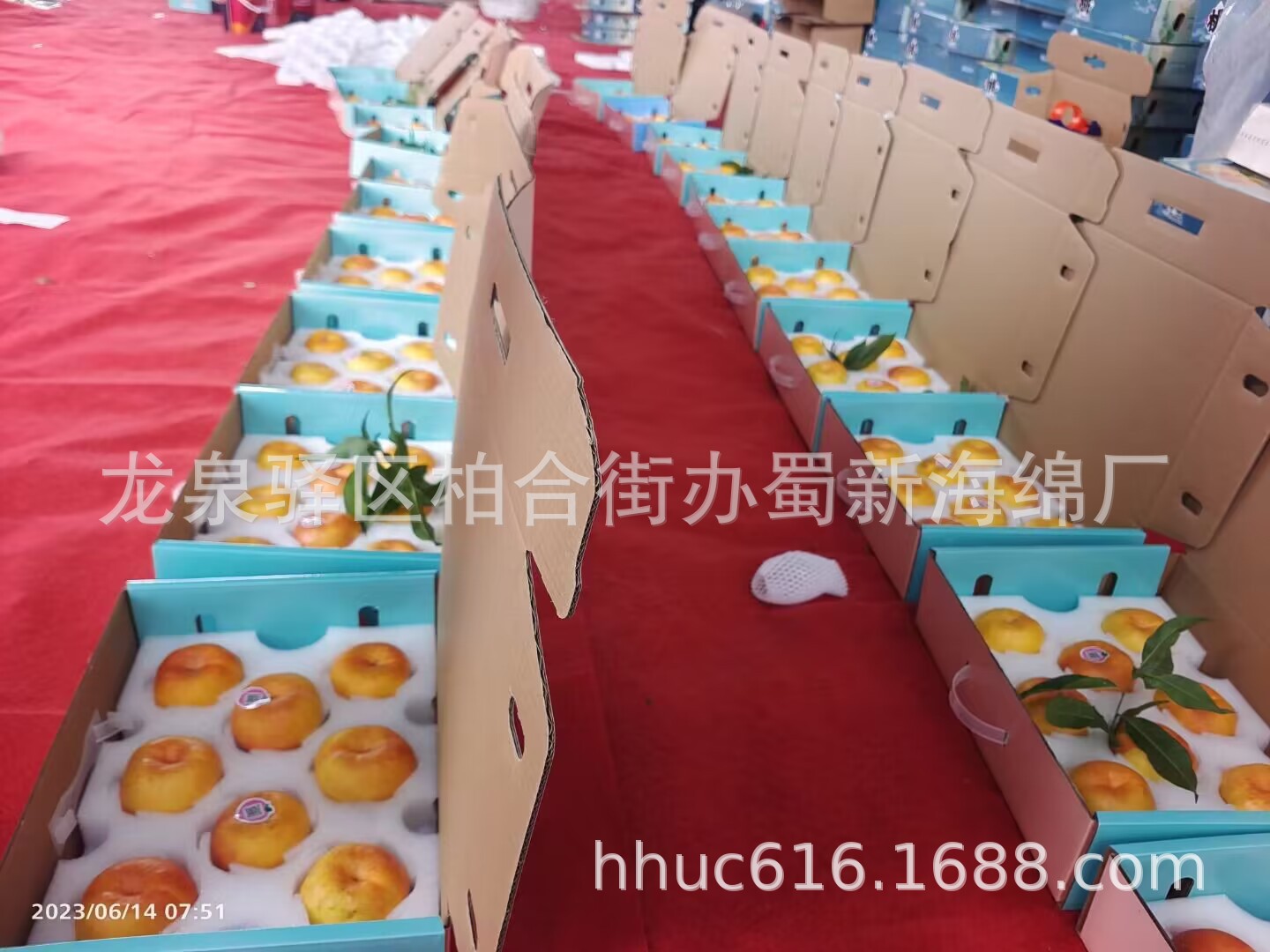 桃子缓冲减震包装泡棉/8枚装桃子海绵托/桃子内衬礼盒包装泡沫/