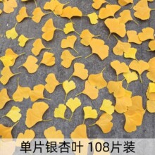 ��Ƭ�����y���~Ƭ�΂����~���~�ӻ�c�����b��Sɫ�y�ӿ��~���~Ƭ