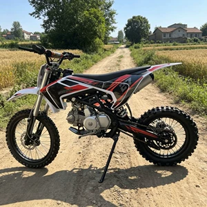 Gücləndirilmiş Çərçivəli İki Təkərli 125CC Yetkin Benzinli Dağ Motosikleti